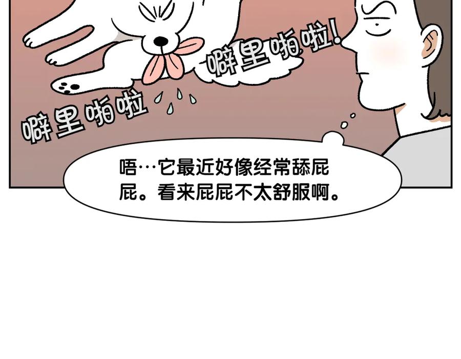 《我的狗子叫棉花》第40话 挤肛门腺 第8页