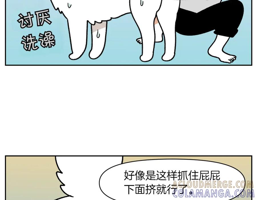 《我的狗子叫棉花》第40话 挤肛门腺 第31页