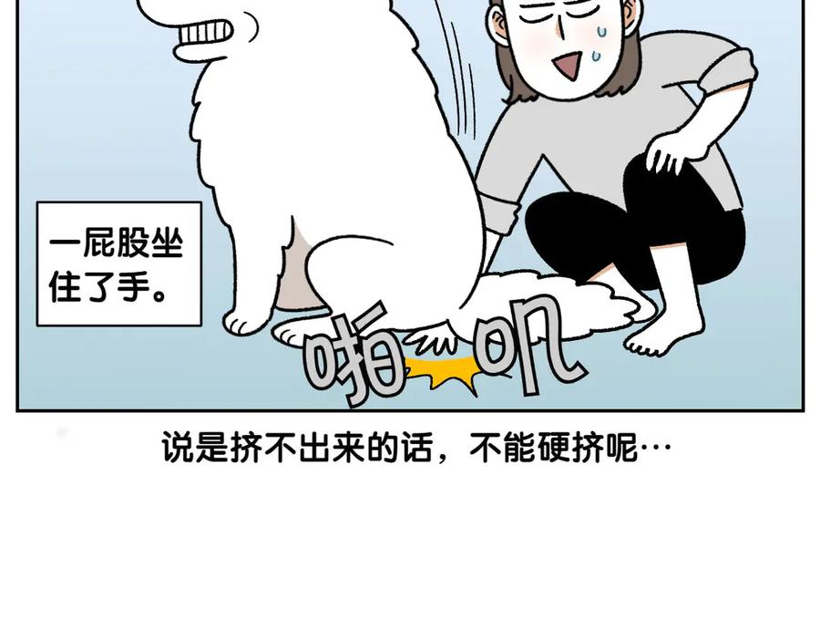 《我的狗子叫棉花》第40话 挤肛门腺 第38页