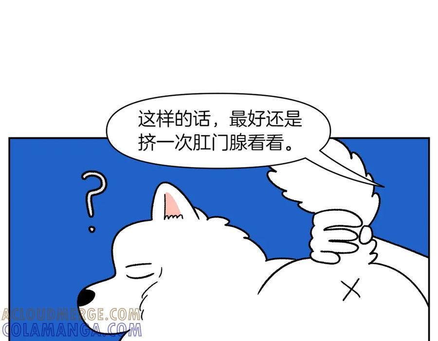 《我的狗子叫棉花》第40话 挤肛门腺 第13页
