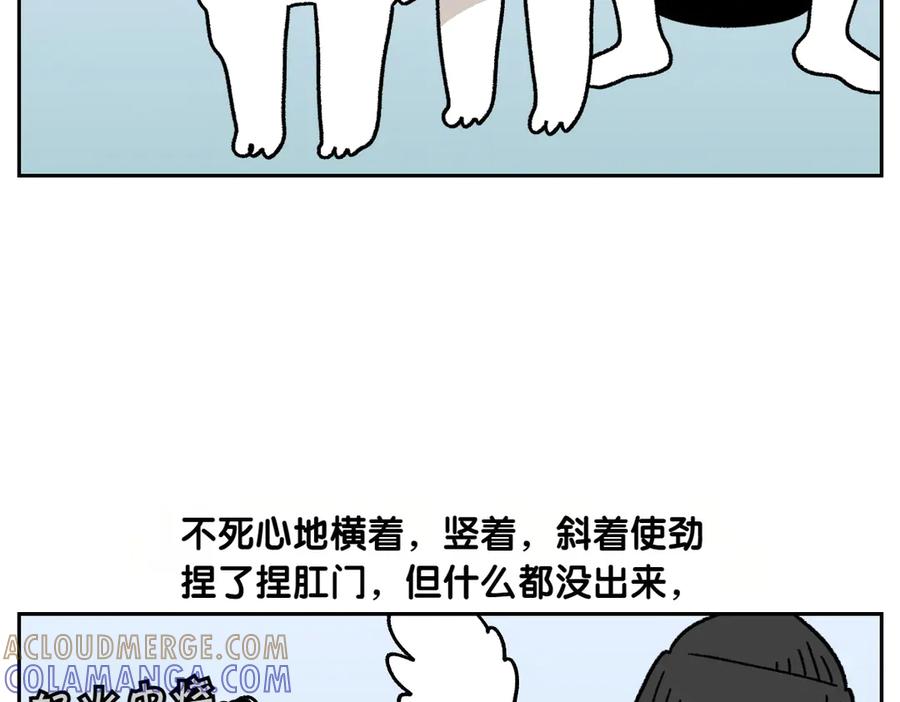 《我的狗子叫棉花》第40话 挤肛门腺 第34页