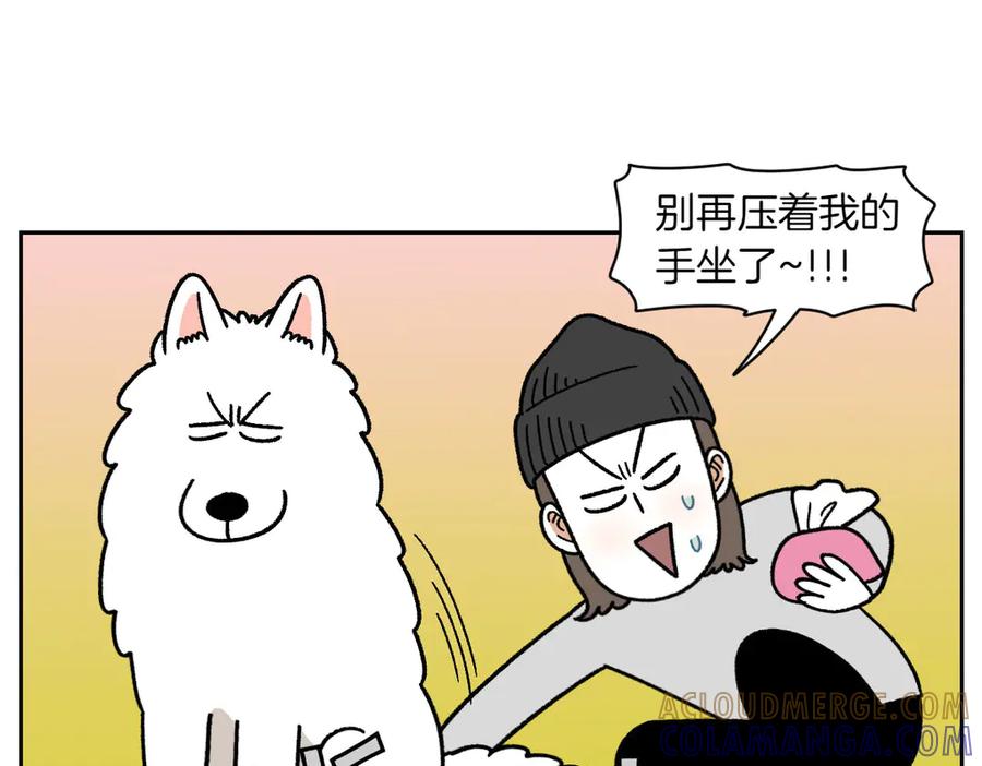 《我的狗子叫棉花》第40话 挤肛门腺 第46页