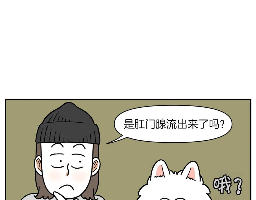 《我的狗子叫棉花》第40话 挤肛门腺 第41页