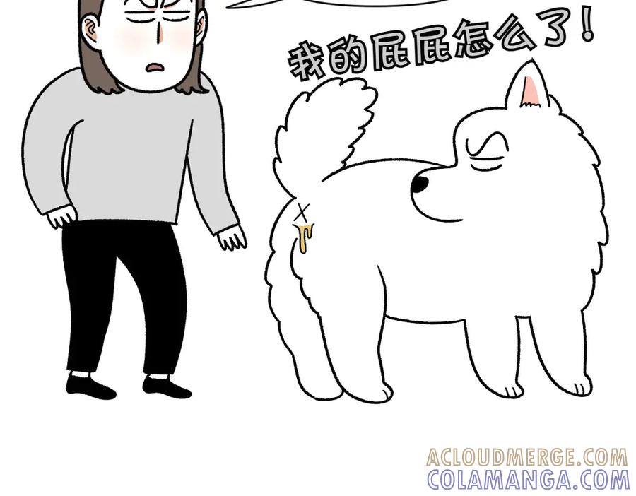 《我的狗子叫棉花》第40话 挤肛门腺 第40页