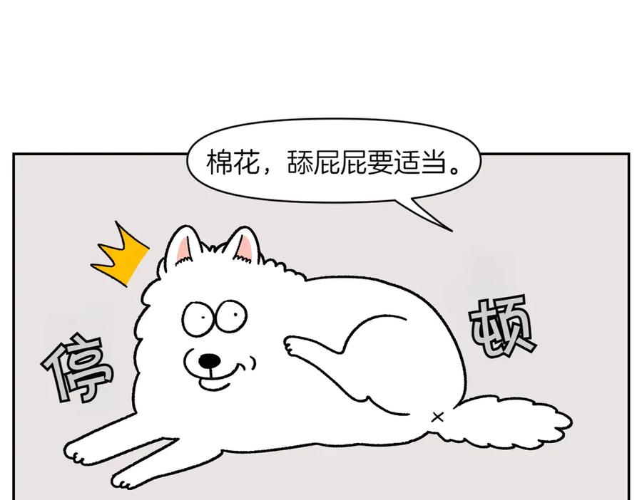 《我的狗子叫棉花》第40话 挤肛门腺 第6页