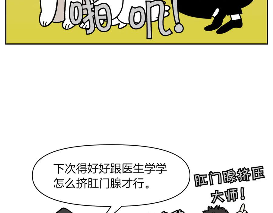 《我的狗子叫棉花》第40话 挤肛门腺 第47页