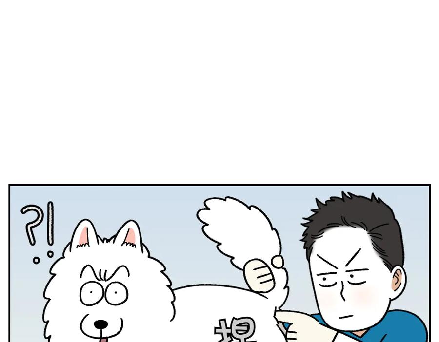 《我的狗子叫棉花》第40话 挤肛门腺 第17页