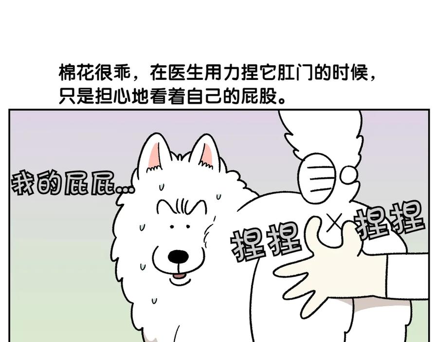 《我的狗子叫棉花》第40话 挤肛门腺 第21页