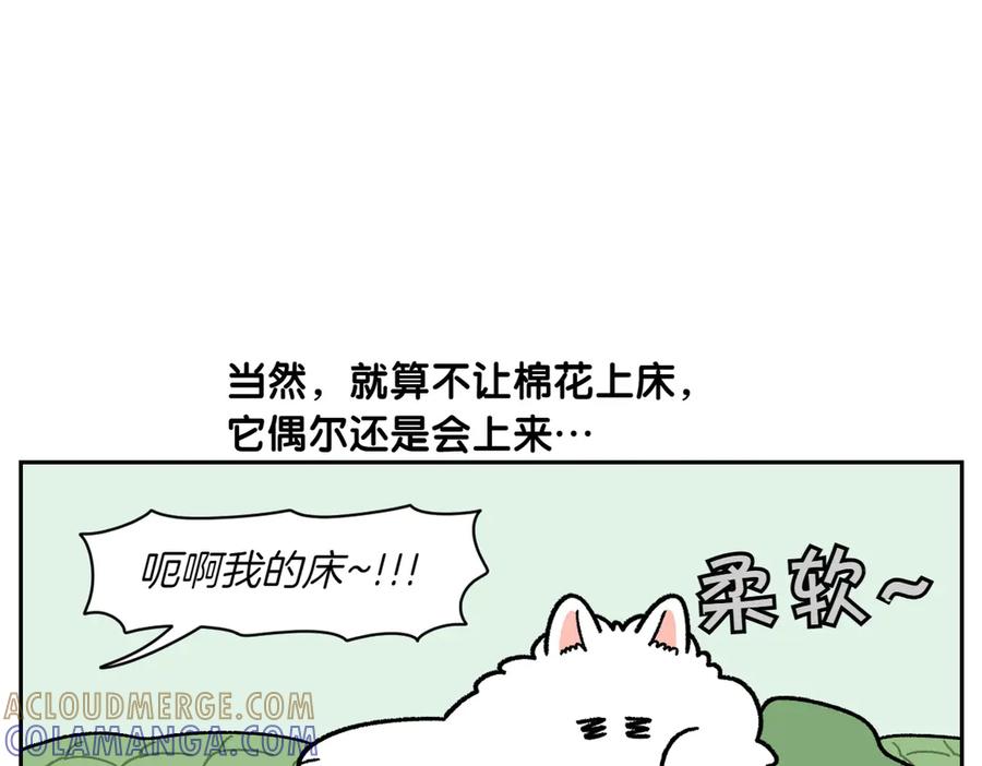 《我的狗子叫棉花》第41话 偷偷上床 第25页
