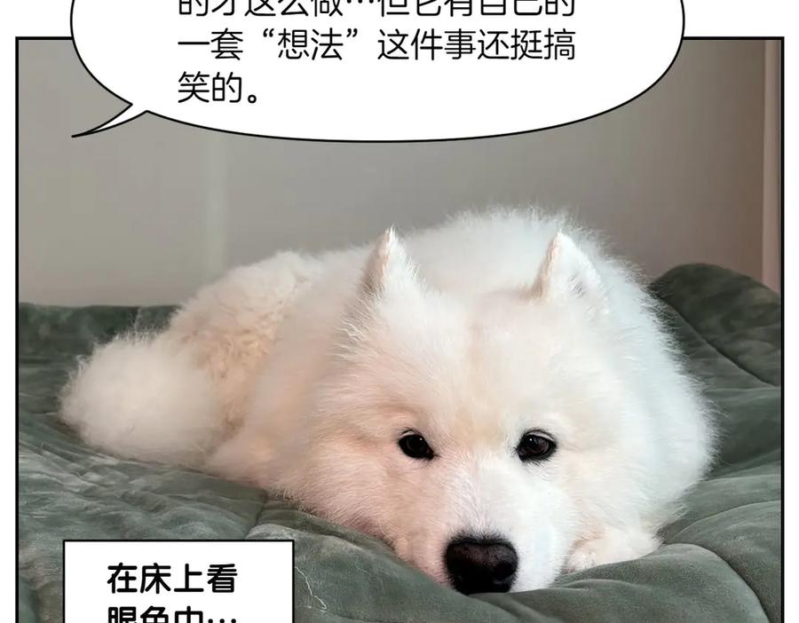 《我的狗子叫棉花》第41话 偷偷上床 第50页