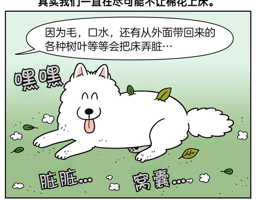 《我的狗子叫棉花》第41话 偷偷上床 第24页