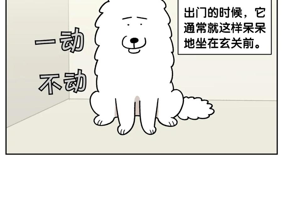 《我的狗子叫棉花》第41话 偷偷上床 第11页