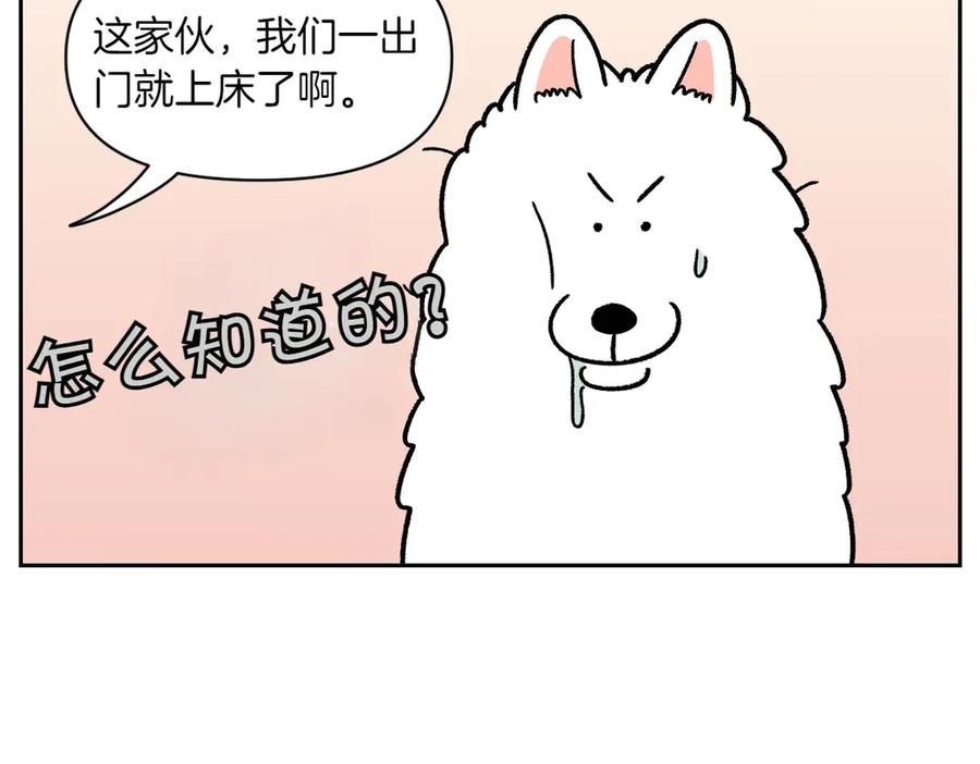 《我的狗子叫棉花》第41话 偷偷上床 第47页
