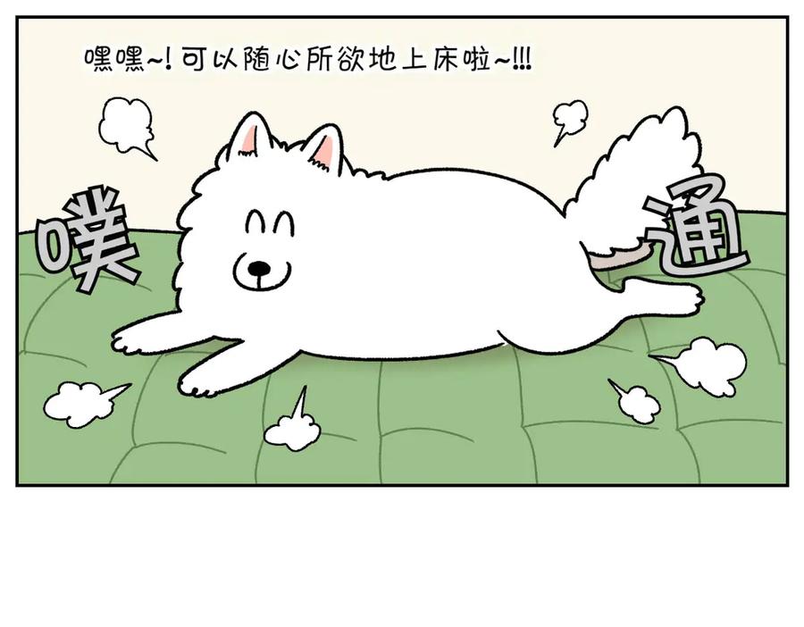 《我的狗子叫棉花》第41话 偷偷上床 第36页