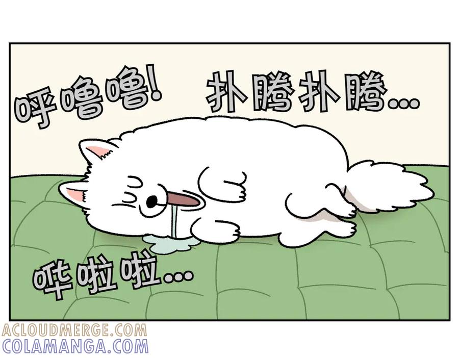 《我的狗子叫棉花》第41话 偷偷上床 第37页