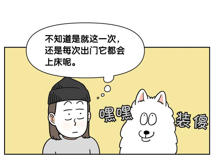 《我的狗子叫棉花》第41话 偷偷上床 第41页