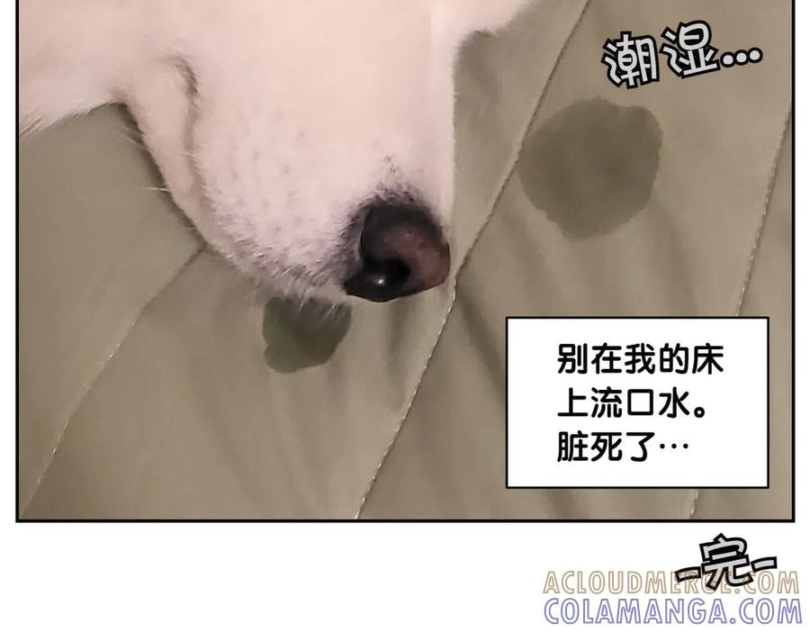 《我的狗子叫棉花》第41话 偷偷上床 第55页