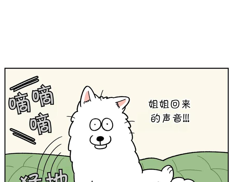 《我的狗子叫棉花》第41话 偷偷上床 第38页