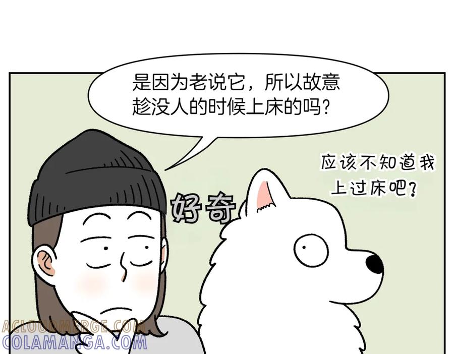 《我的狗子叫棉花》第41话 偷偷上床 第31页