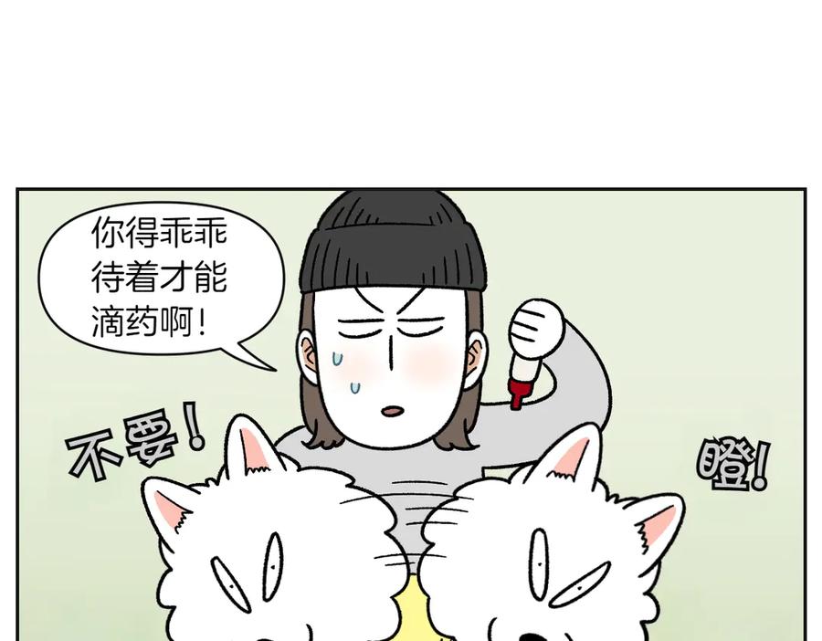《我的狗子叫棉花》第42话 治疗眼病(1) 第33页