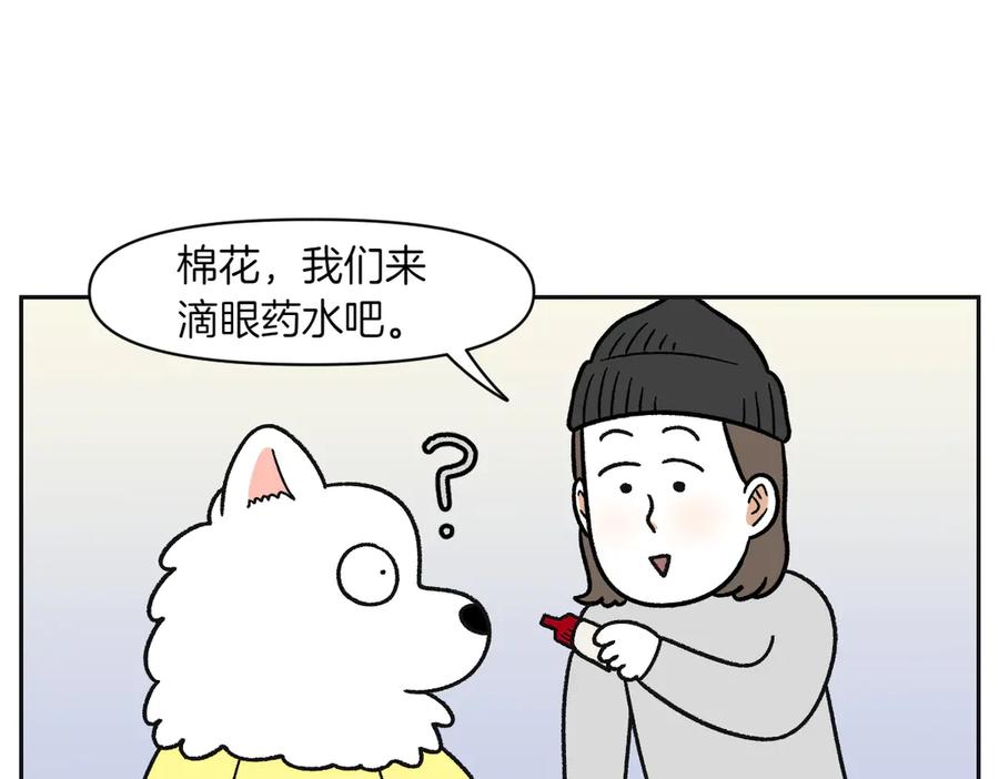 《我的狗子叫棉花》第42话 治疗眼病(1) 第20页