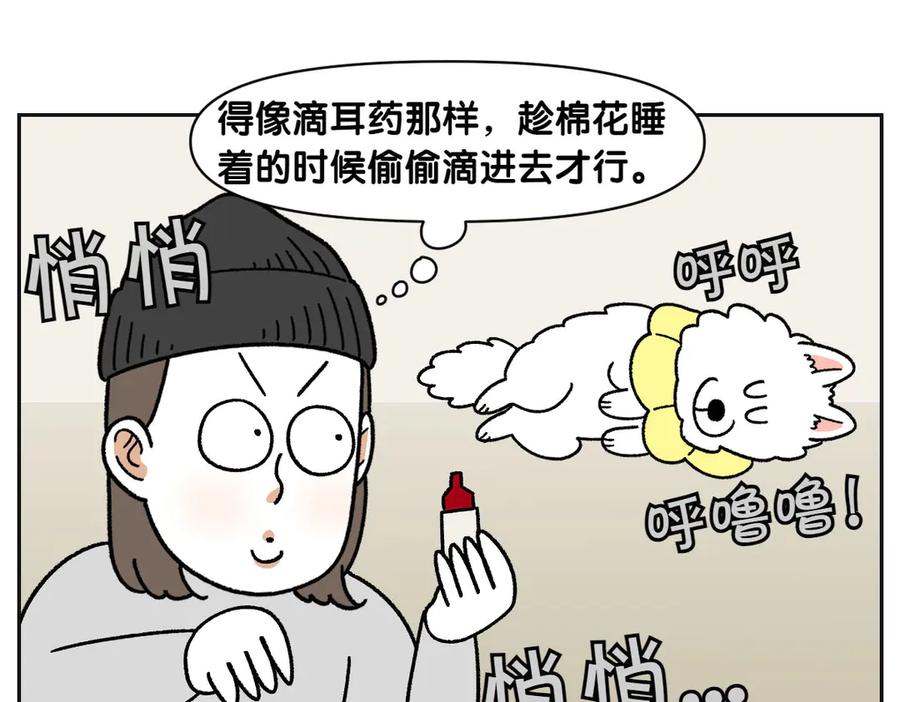 《我的狗子叫棉花》第42话 治疗眼病(1) 第41页