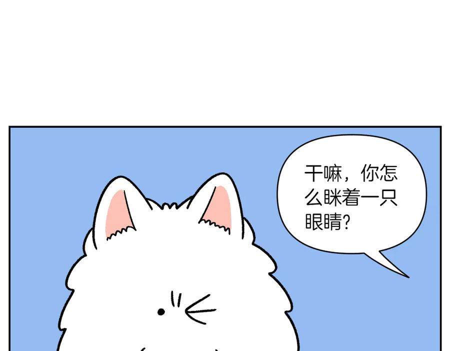 《我的狗子叫棉花》第42话 治疗眼病(1) 第6页