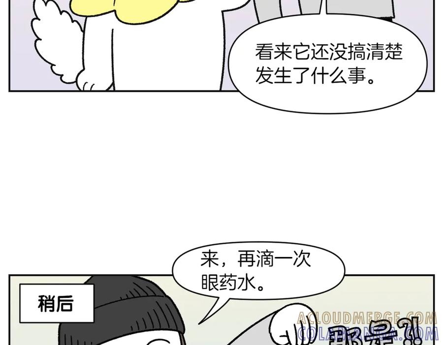 《我的狗子叫棉花》第42话 治疗眼病(1) 第25页