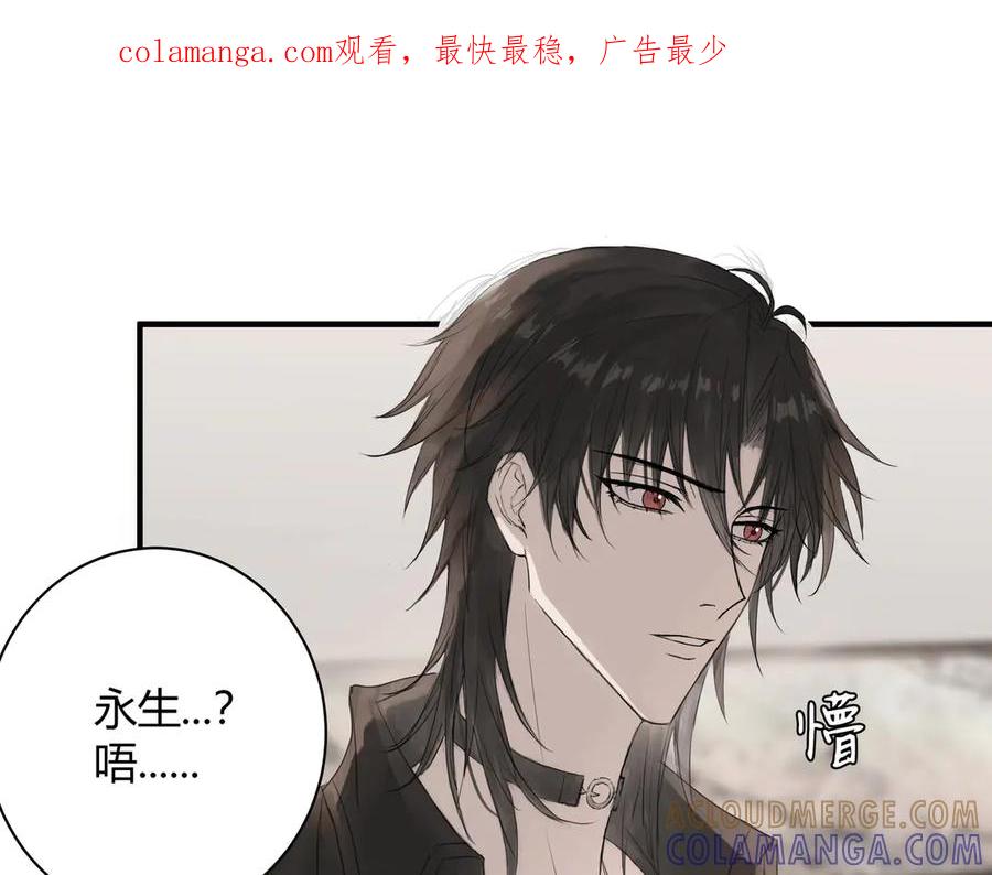 《欺诈信徒》你眼中的世界 第1页