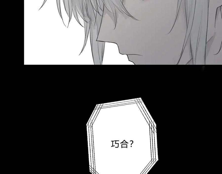 《欺诈信徒》论文盗窃 第5页