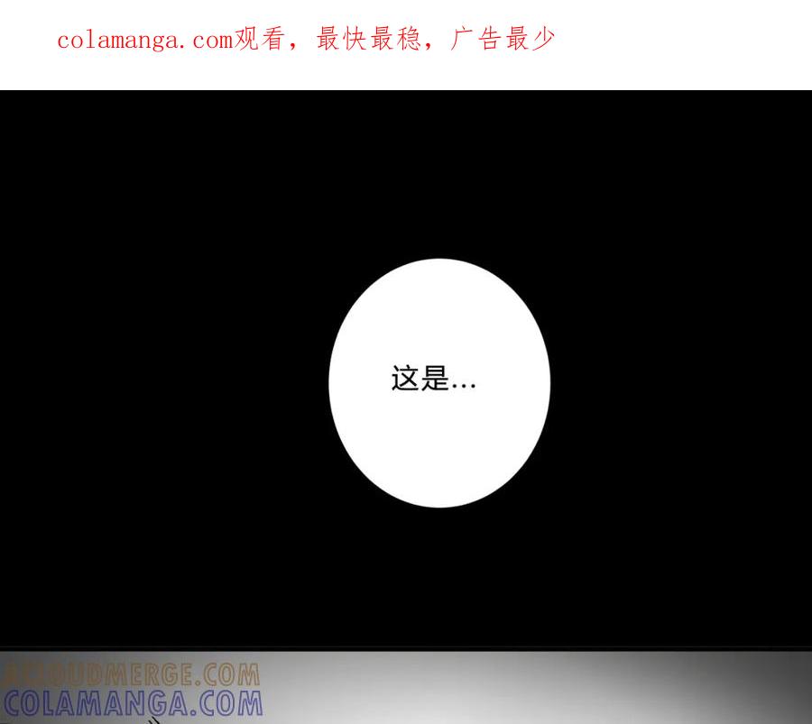 《欺诈信徒》论文盗窃 第1页