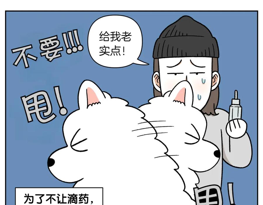 《我的狗子叫棉花》第28话 狗狗药 第20页
