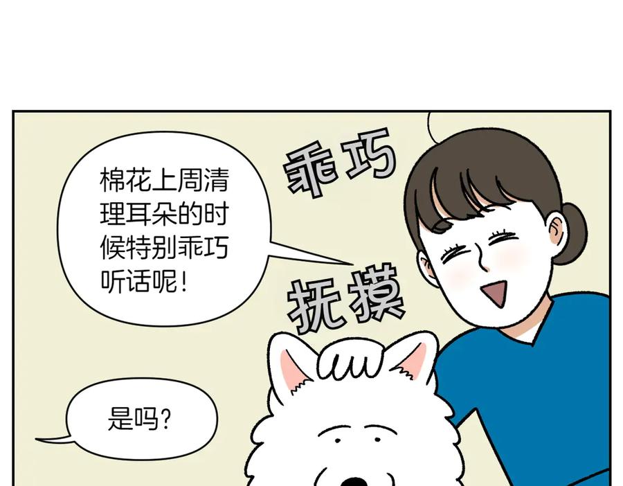 《我的狗子叫棉花》第28话 狗狗药 第38页