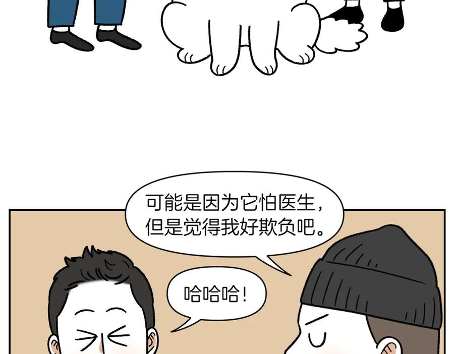 《我的狗子叫棉花》第28话 狗狗药 第45页