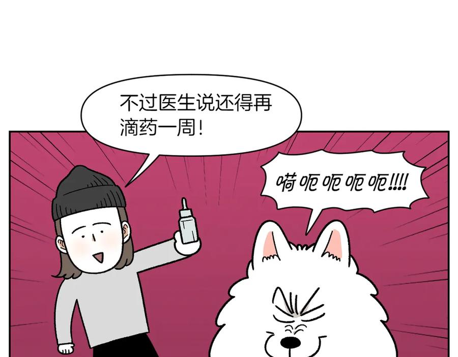 《我的狗子叫棉花》第28话 狗狗药 第50页