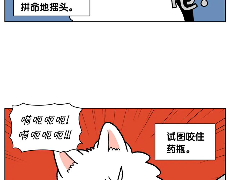 《我的狗子叫棉花》第28话 狗狗药 第21页