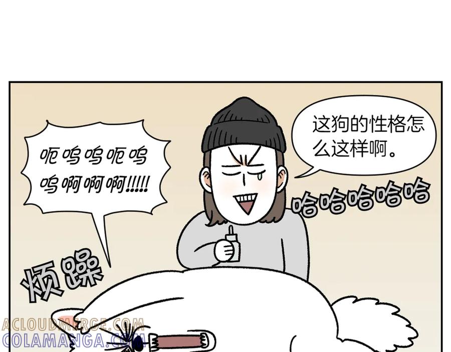 《我的狗子叫棉花》第28话 狗狗药 第31页