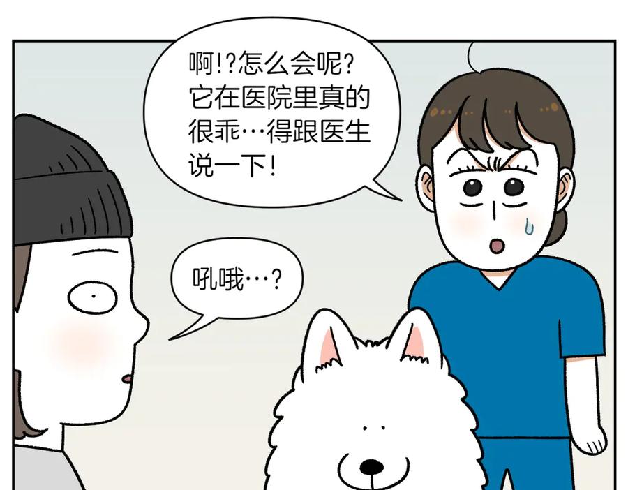 《我的狗子叫棉花》第28话 狗狗药 第41页