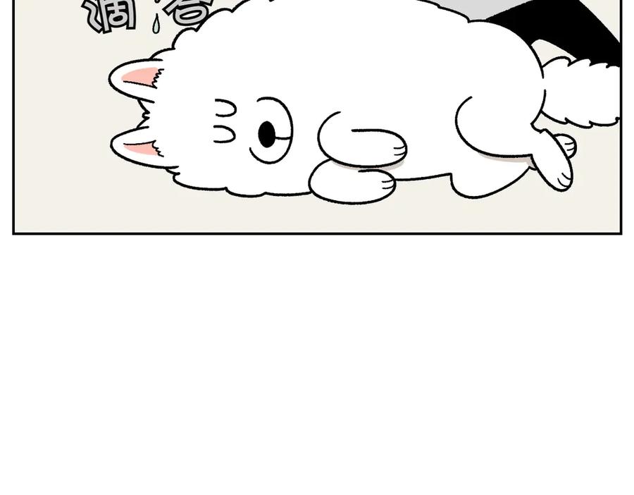 《我的狗子叫棉花》第28话 狗狗药 第29页