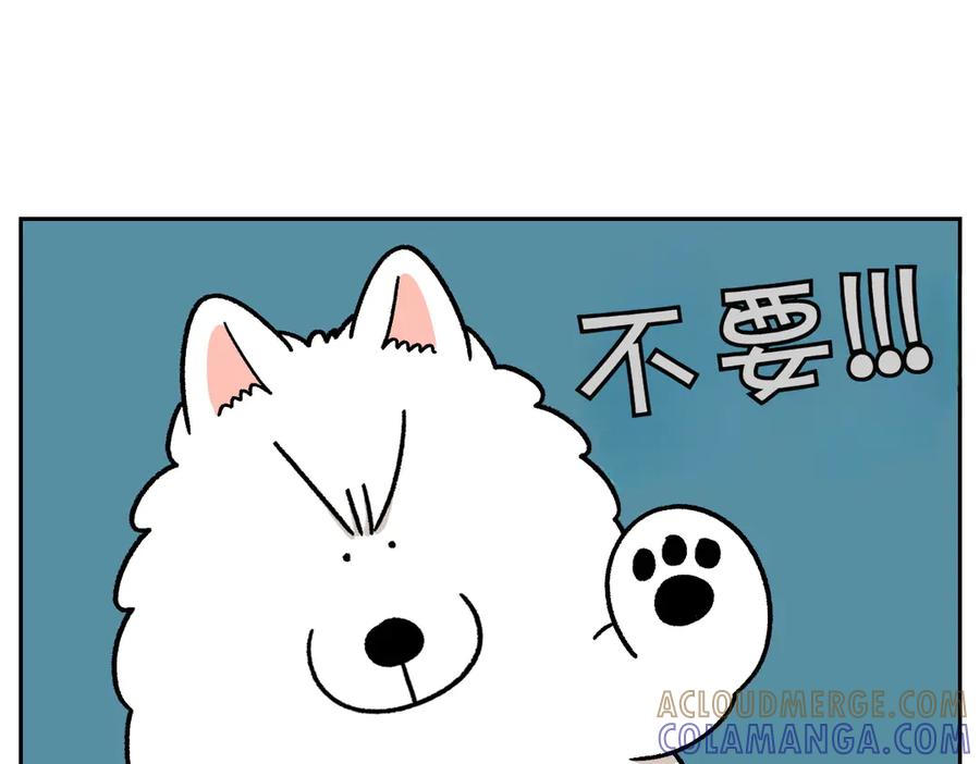《我的狗子叫棉花》第28话 狗狗药 第16页
