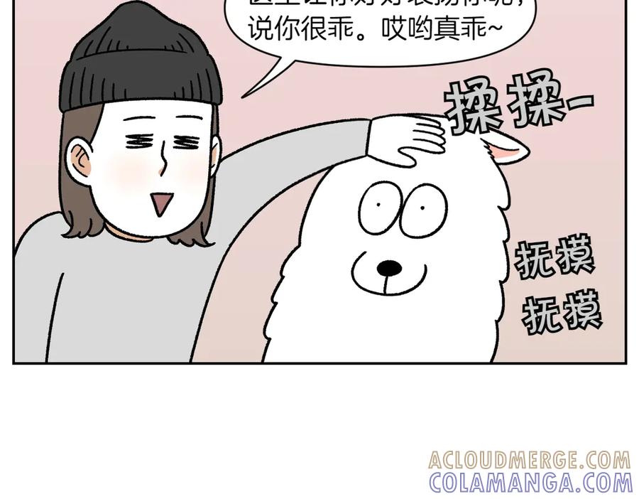 《我的狗子叫棉花》第28话 狗狗药 第49页