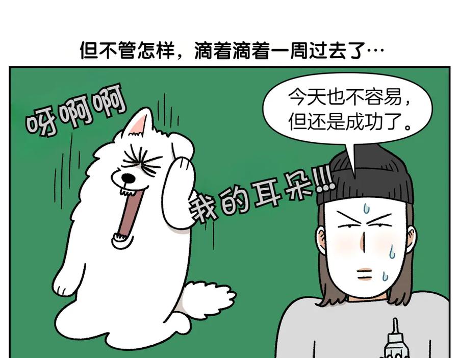 《我的狗子叫棉花》第28话 狗狗药 第35页