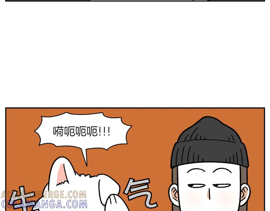 《我的狗子叫棉花》第28话 狗狗药 第13页