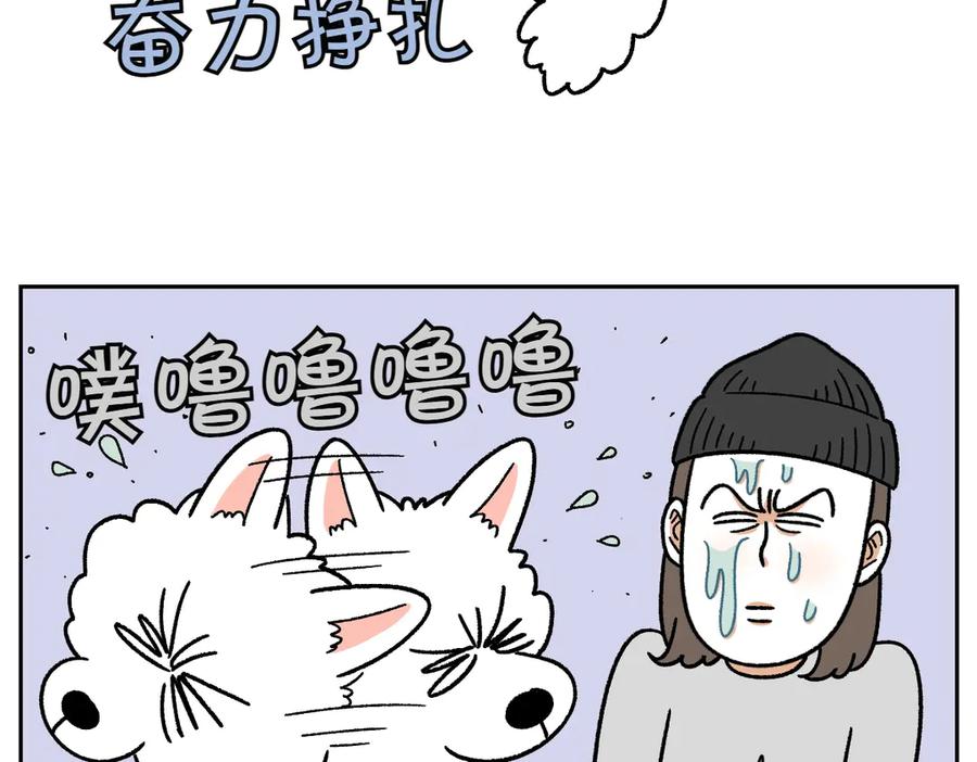 《我的狗子叫棉花》第28话 狗狗药 第24页