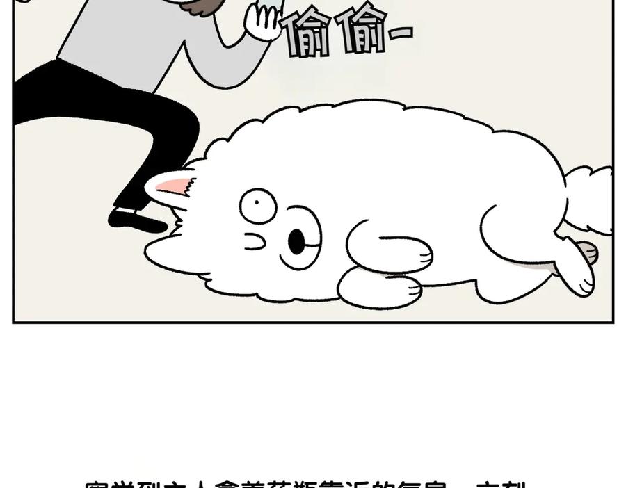 《我的狗子叫棉花》第28话 狗狗药 第33页