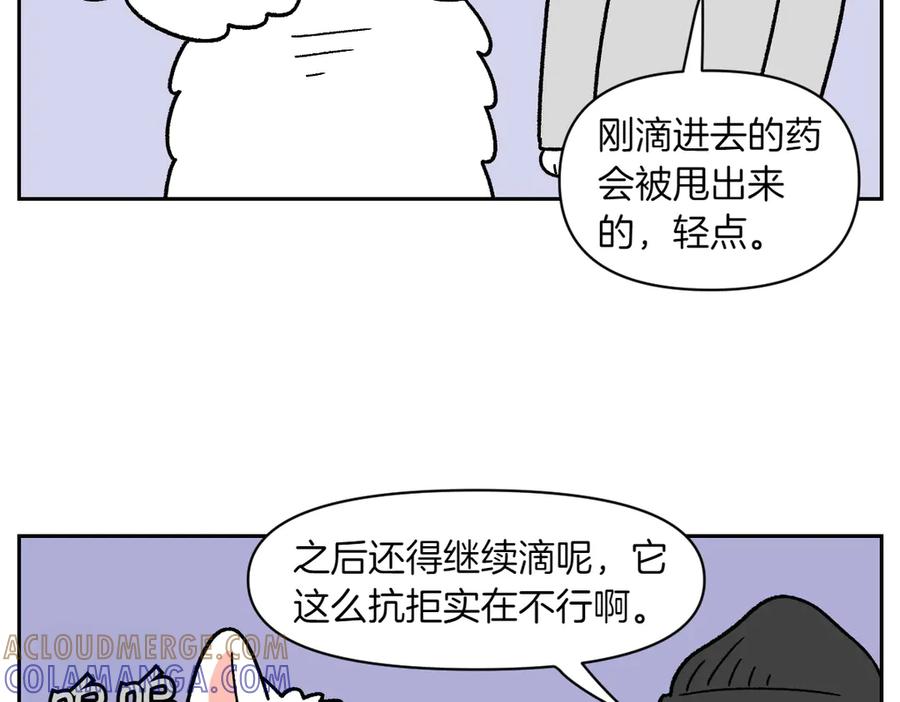 《我的狗子叫棉花》第28话 狗狗药 第25页
