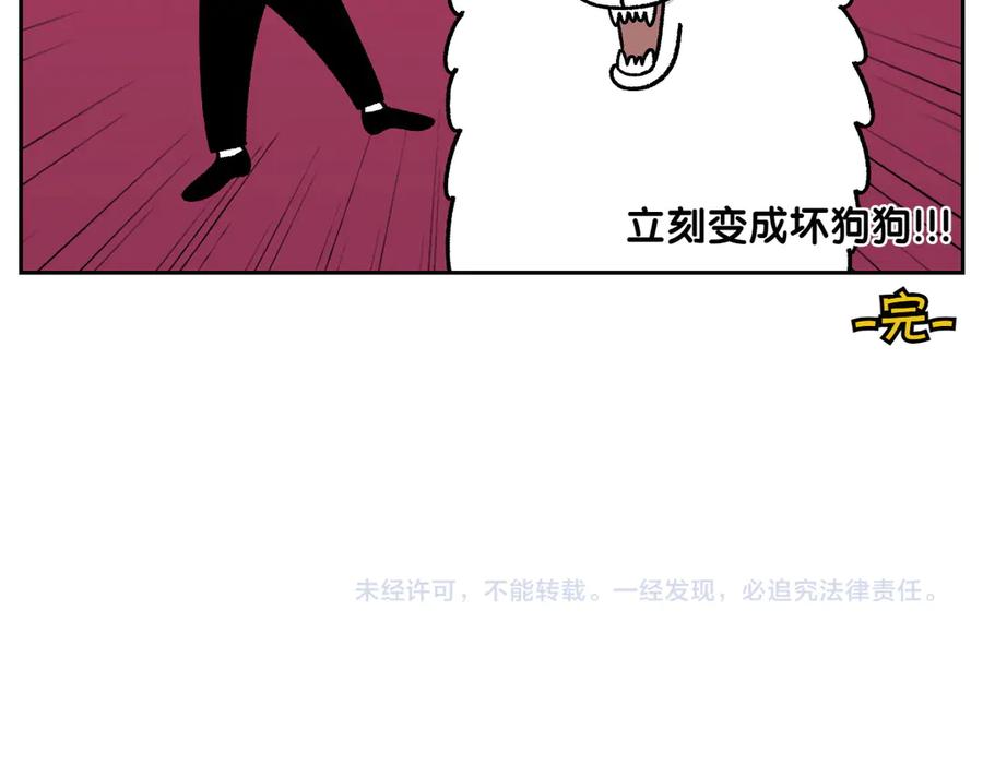 《我的狗子叫棉花》第28话 狗狗药 第51页