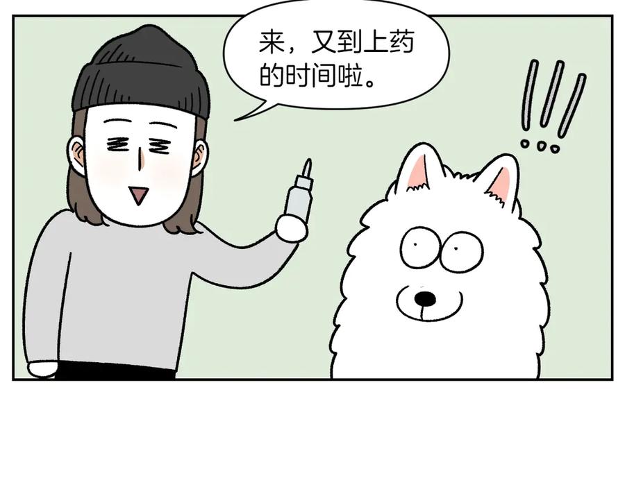 《我的狗子叫棉花》第28话 狗狗药 第15页