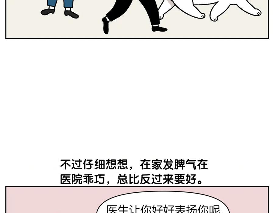 《我的狗子叫棉花》第28话 狗狗药 第48页