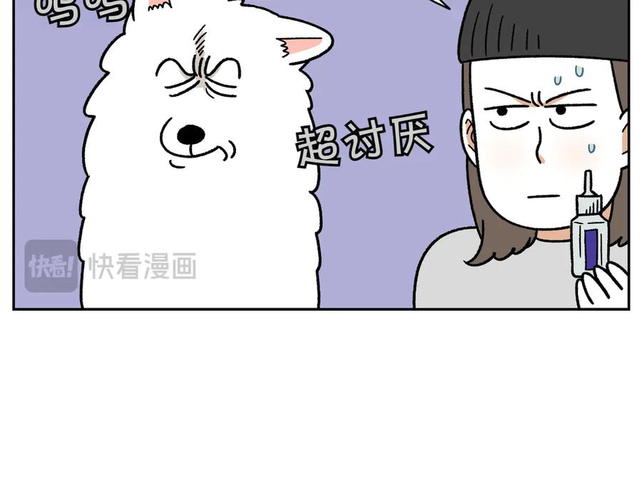 《我的狗子叫棉花》第28话 狗狗药 第26页